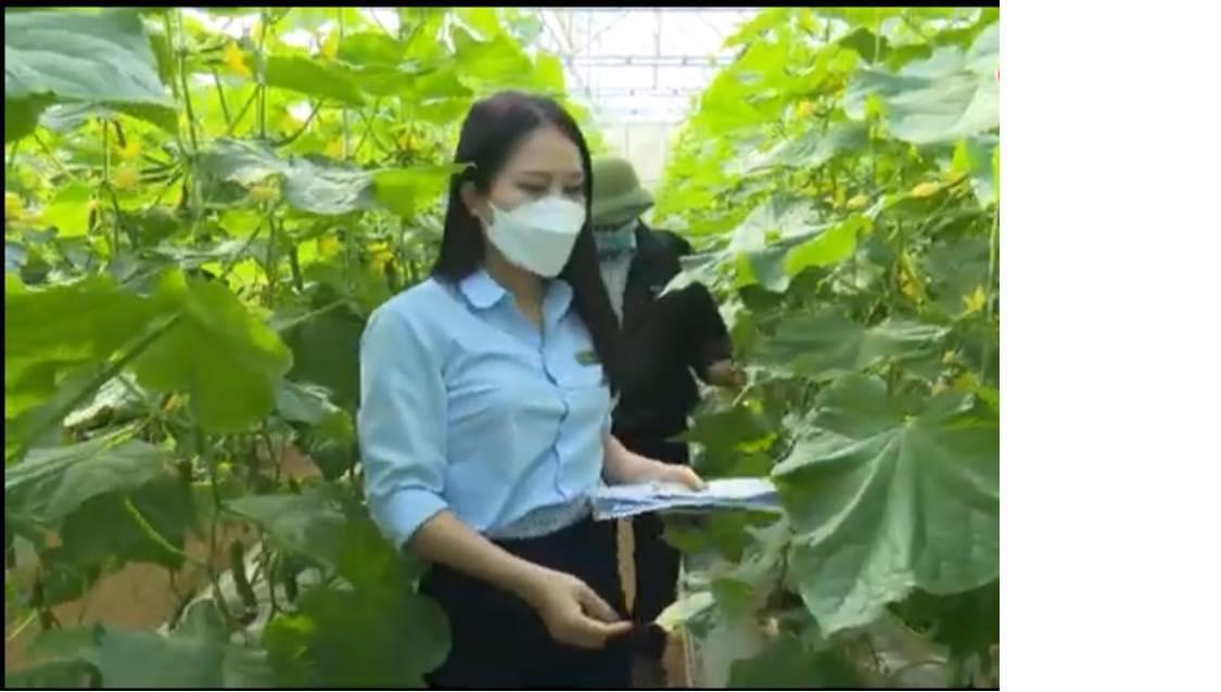 NĂNG LỰC KIỂM ĐỊNH, KIỂM NGHIỆM CHẤT LƯỢNG GIỐNG CÂY TRỒNG TẠI TRUNG TÂM KIỂM NGHIỆM VÀ CHỨNG NHẬN CHẤT LƯỢNG NÔNG, LÂM, THỦY SẢN THANH HÓA